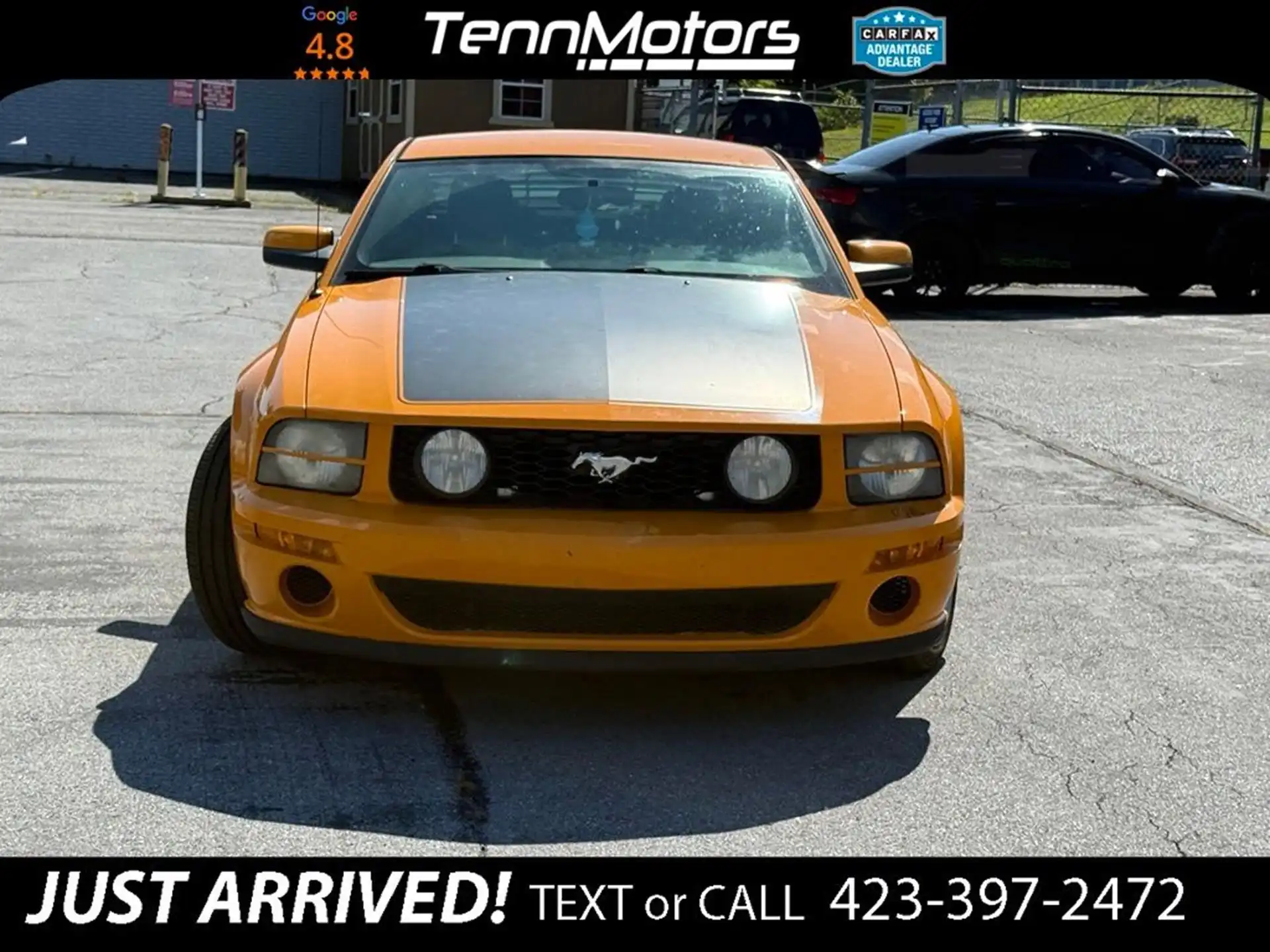 2007 Ford Mustang GT Deluxe's photo