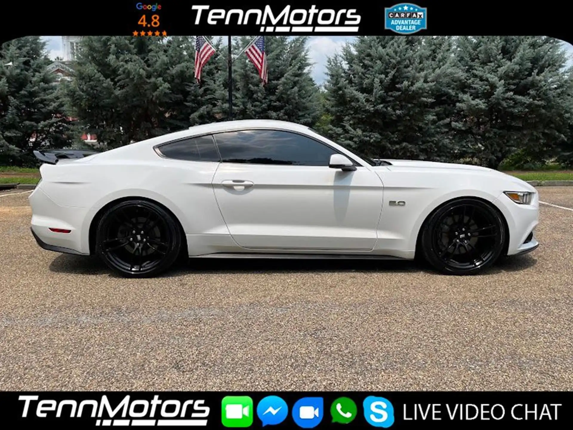 2017 Ford Mustang GT Coupe Premium's photo