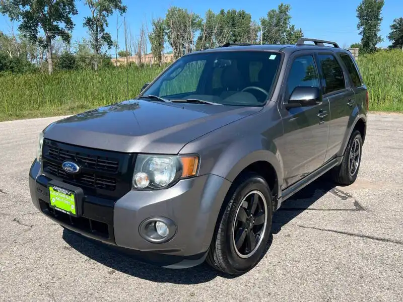 2012 Ford Escape XLT 4WD's photo