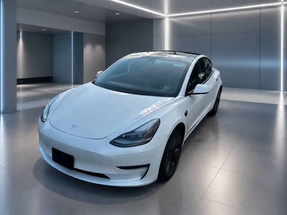 2021 Tesla Model 3 Standard Range Plus's photo