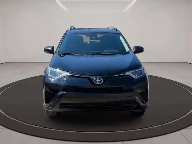 2017 Toyota RAV4 LE AWD's photo