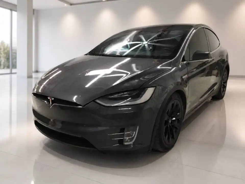 2016 Tesla Model X 75D's photo