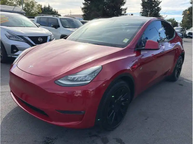 2021 Tesla Model Y Standard Range's photo