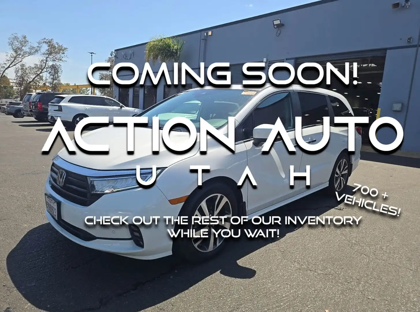 2023 Honda Odyssey Touring's photo