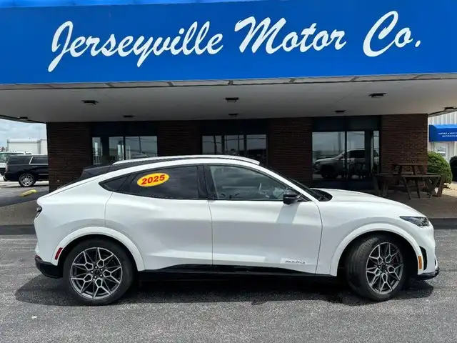 2025 Ford Mustang-Mach-e GT's photo