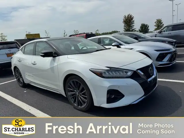 2019 Nissan Maxima Platinum's photo