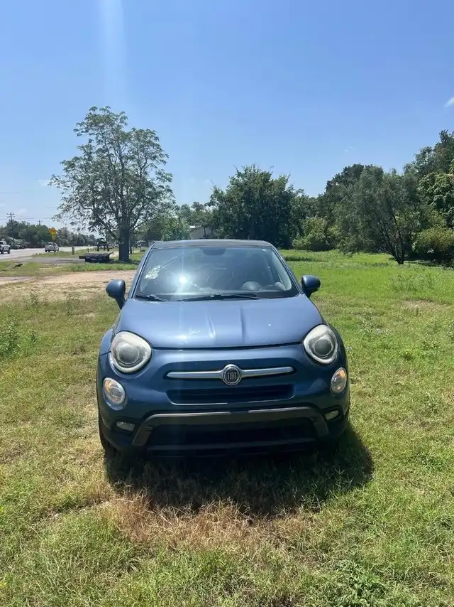 2017 FIAT 500X Trekking's photo