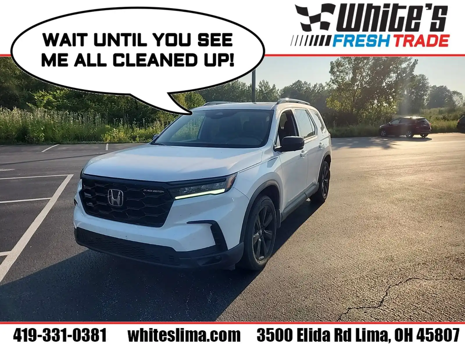 2025 Honda Pilot Black Edition AWD's photo