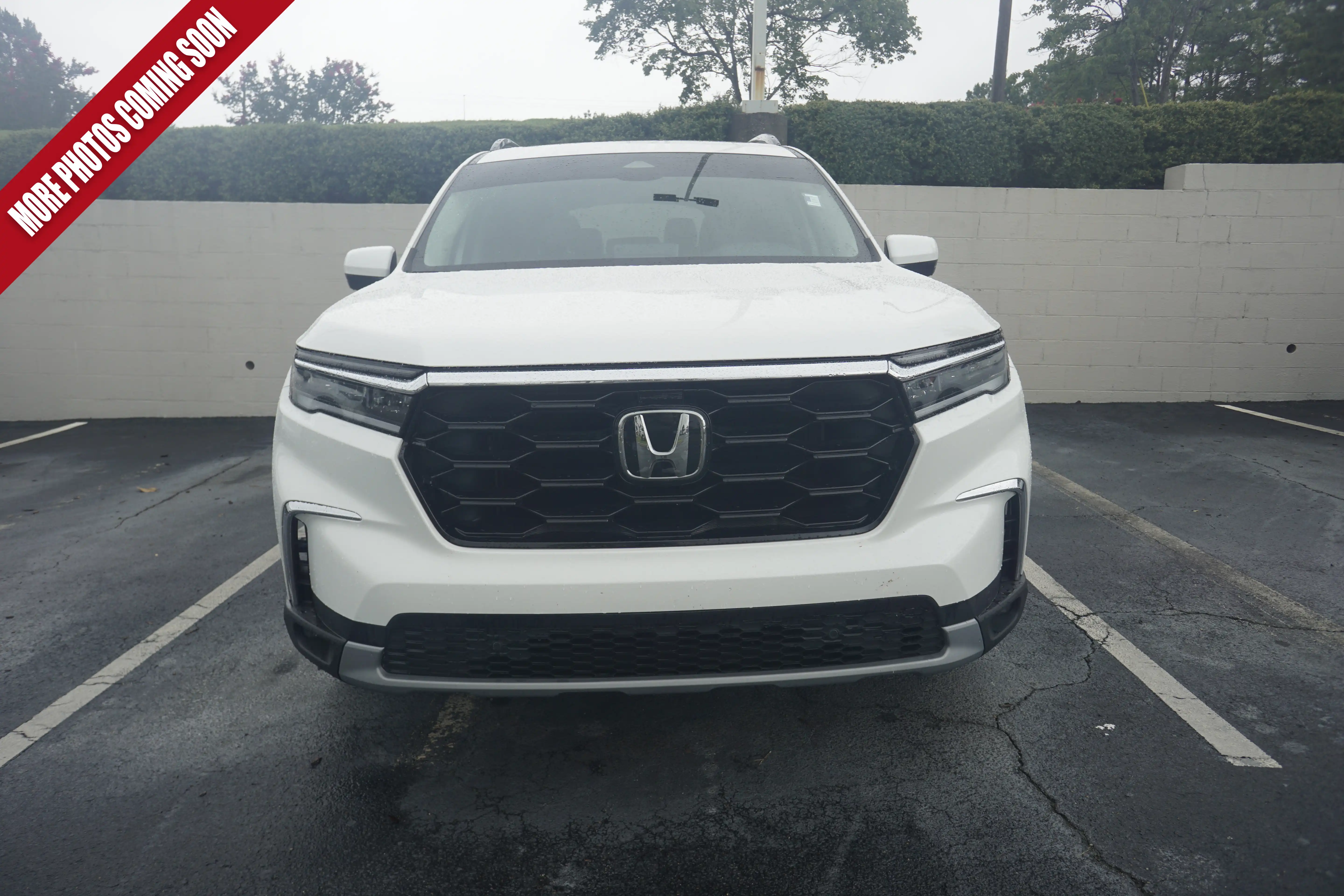 2024 Honda Pilot Touring 2WD's photo