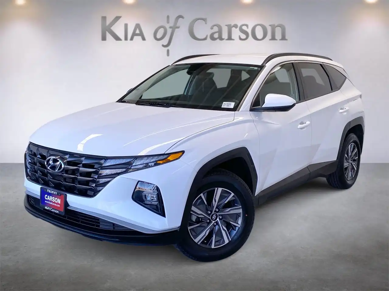 2024 Hyundai Tucson Hybrid Blue AWD's photo