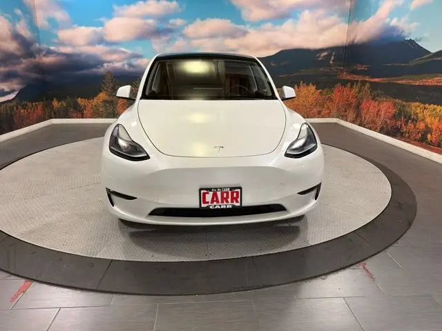 2023 Tesla Model Y Long Range Dual Motor AWD photo 3