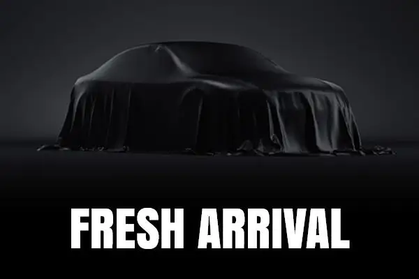 2023 Tesla Model 3 Long Range photo 1
