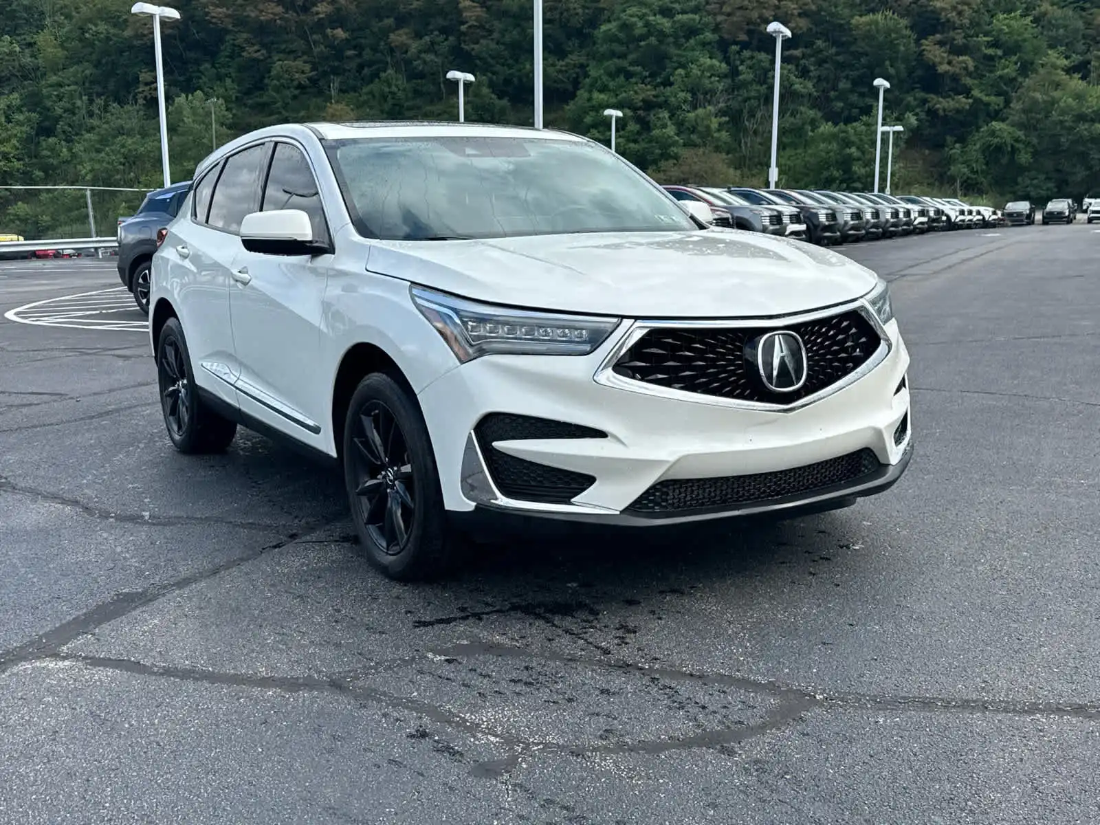 2019 Acura RDX Technology Package SH-AWD's photo