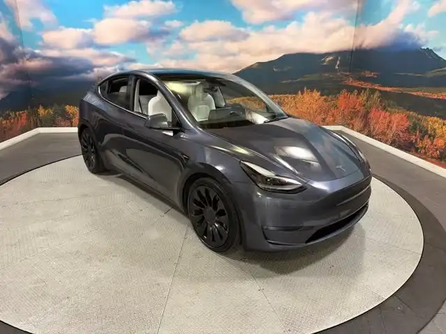 2022 Tesla Model Y Performance Dual Motor All-Wheel Drive's photo