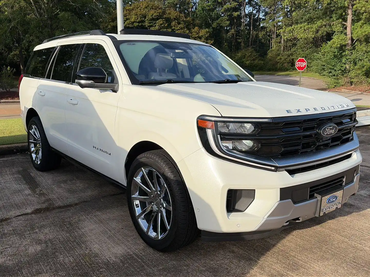 2025 Ford Expedition Platinum 4x4's photo