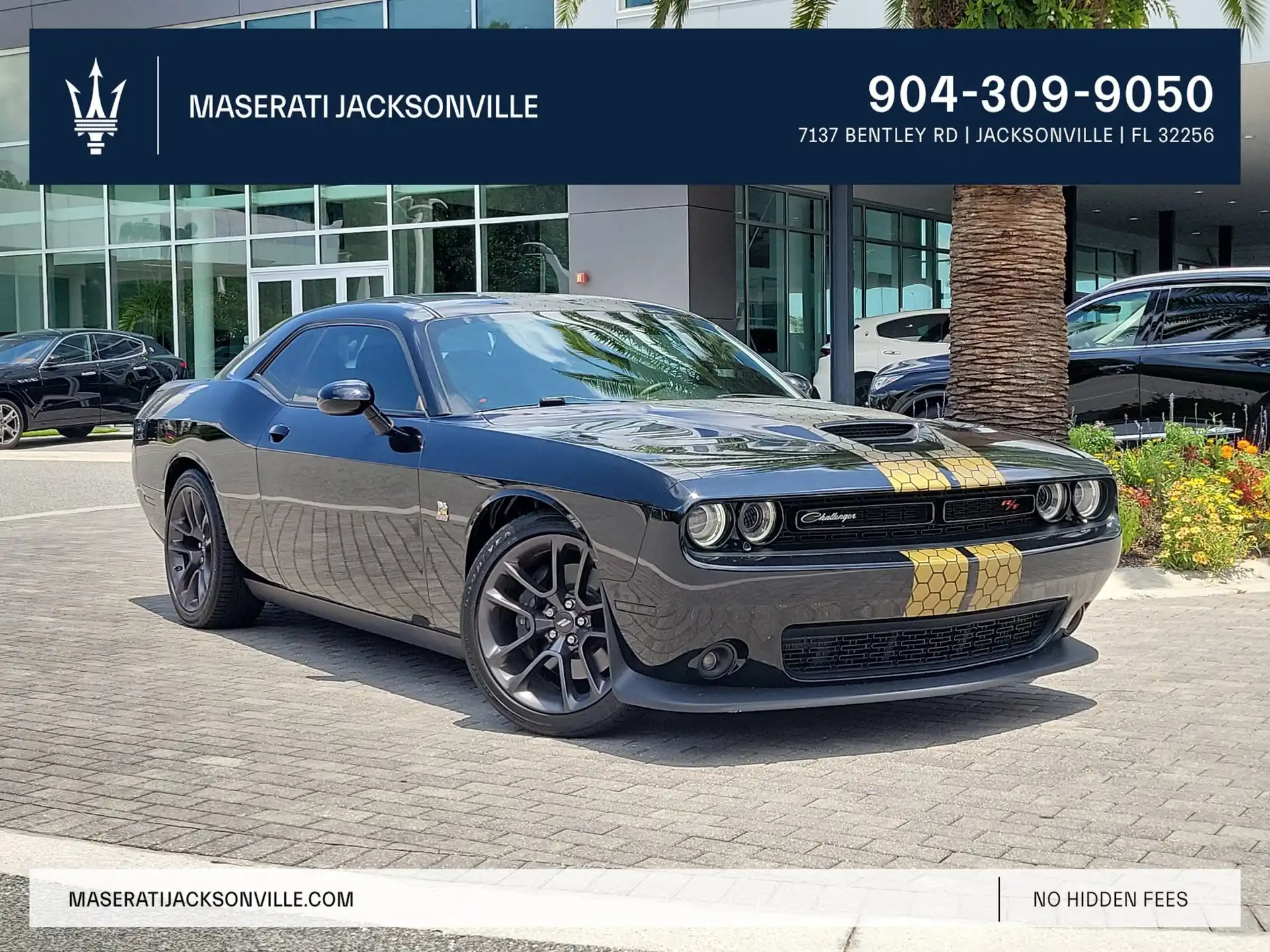 2022 Dodge Challenger R/T Scat Pack's photo