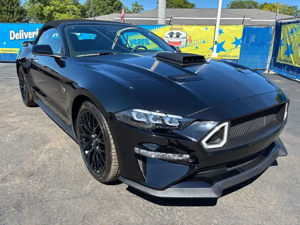 2019 Ford Mustang Premium Convertible GT's photo