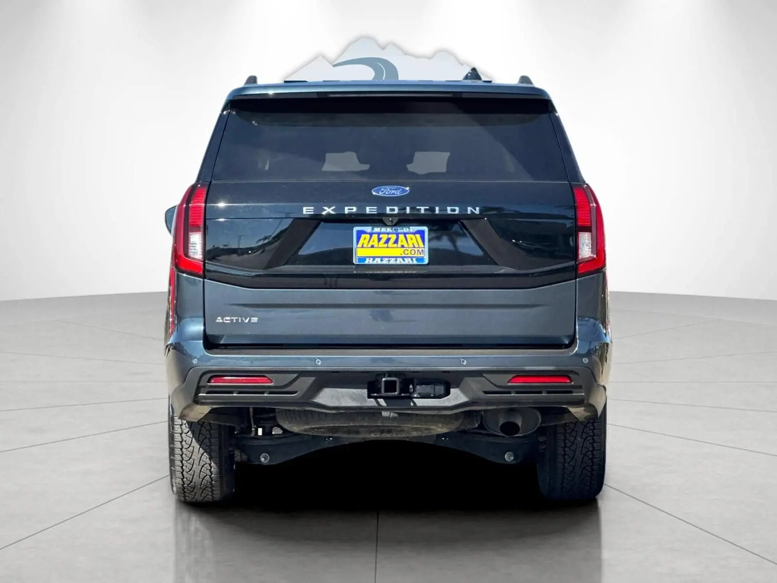 2025 Ford Expedition Active photo 4