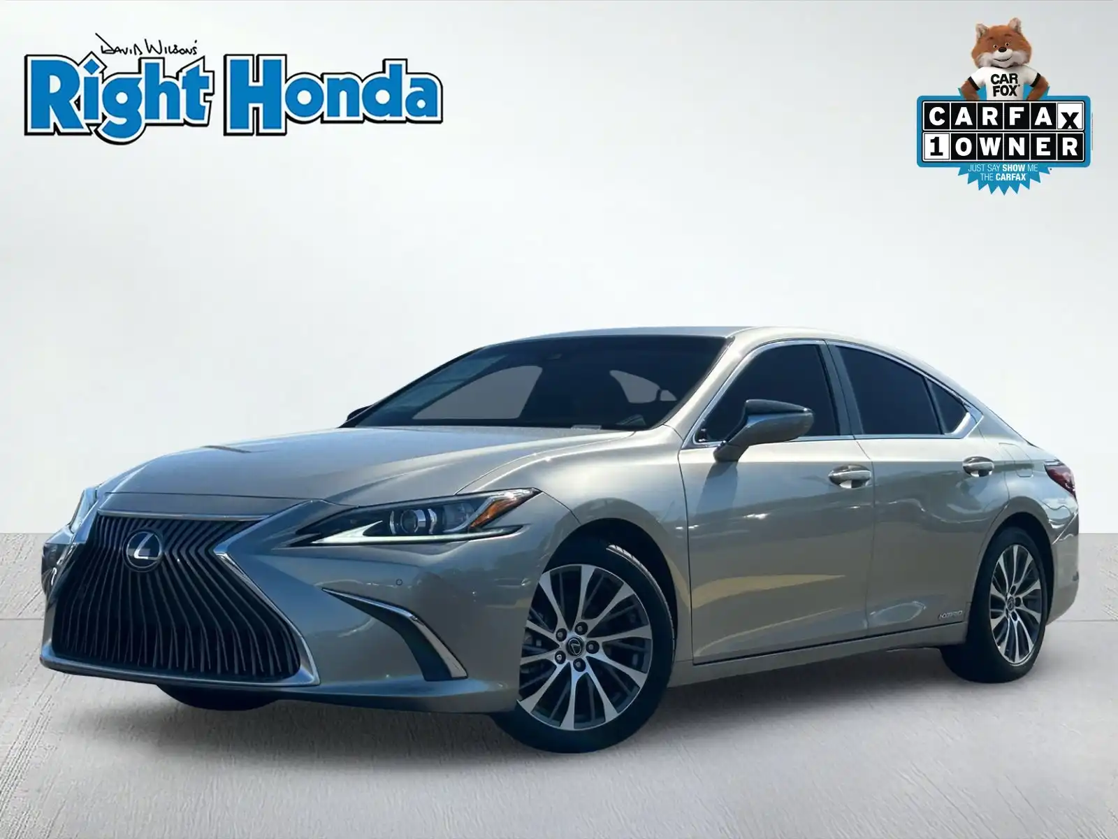2021 Lexus ES 300h 300h's photo