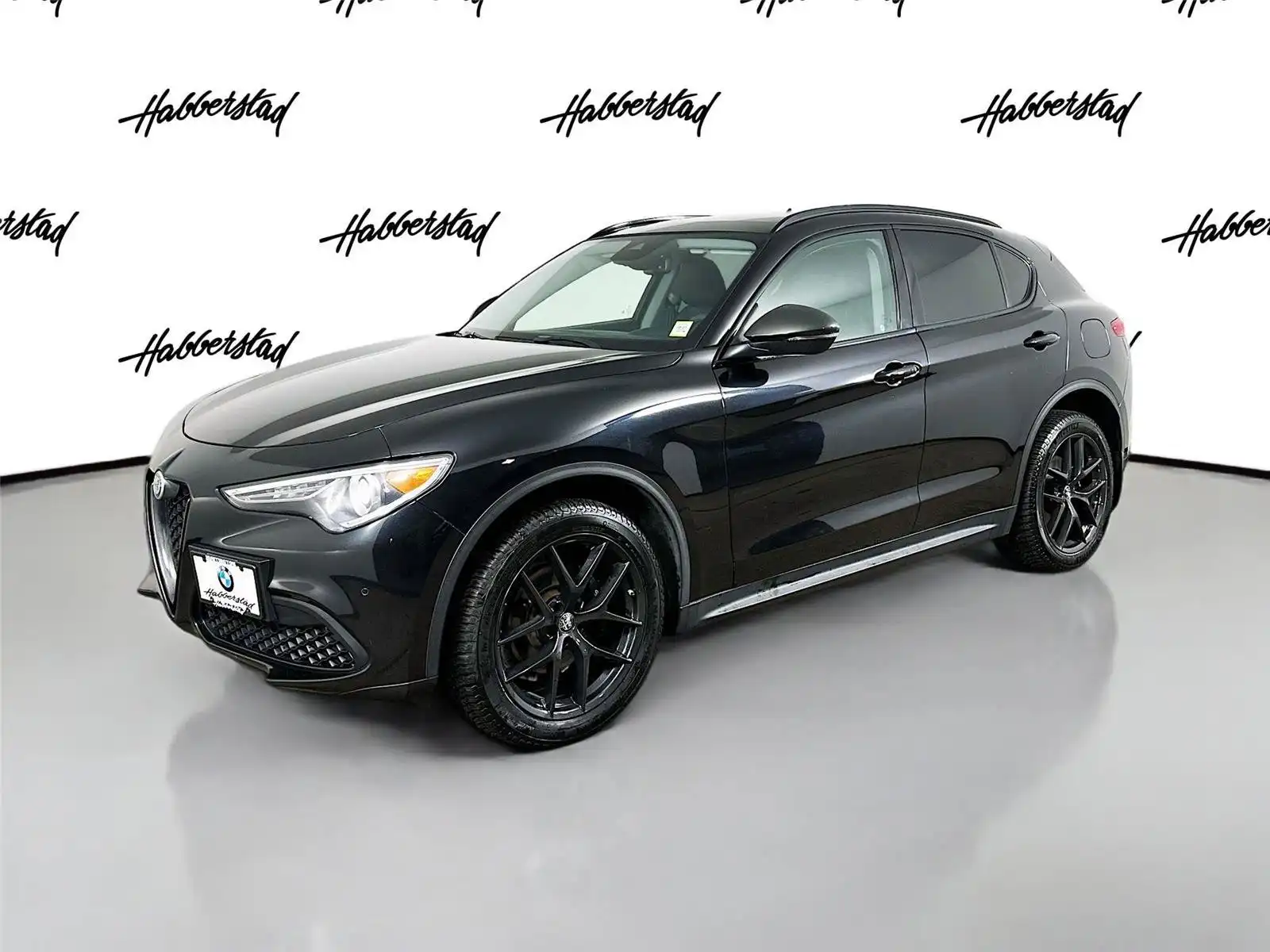 2019 Alfa Romeo Stelvio AWD's photo
