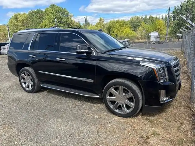 2017 Cadillac Escalade Luxury AWD's photo