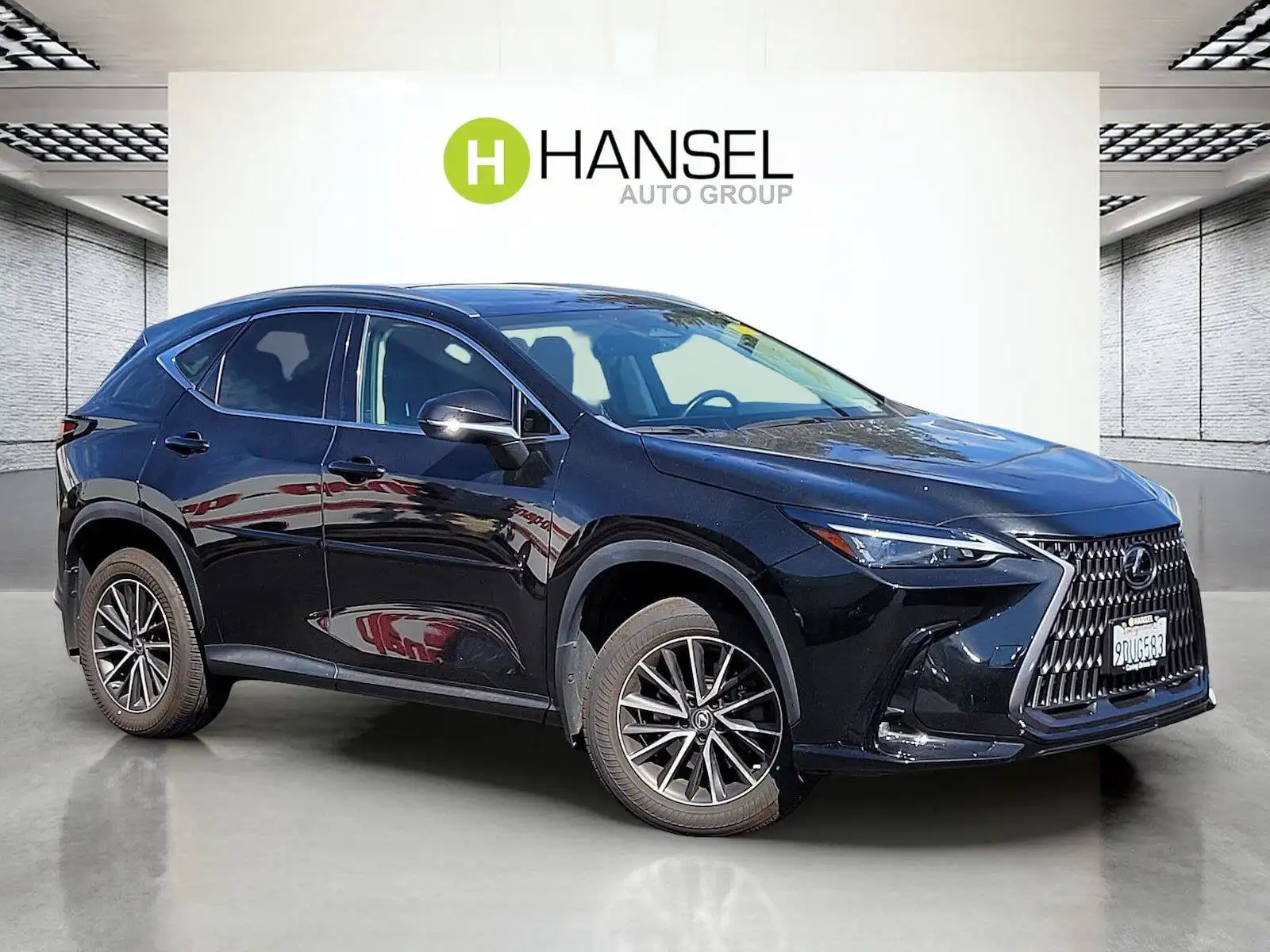 2023 Lexus NX 350h 350h AWD's photo