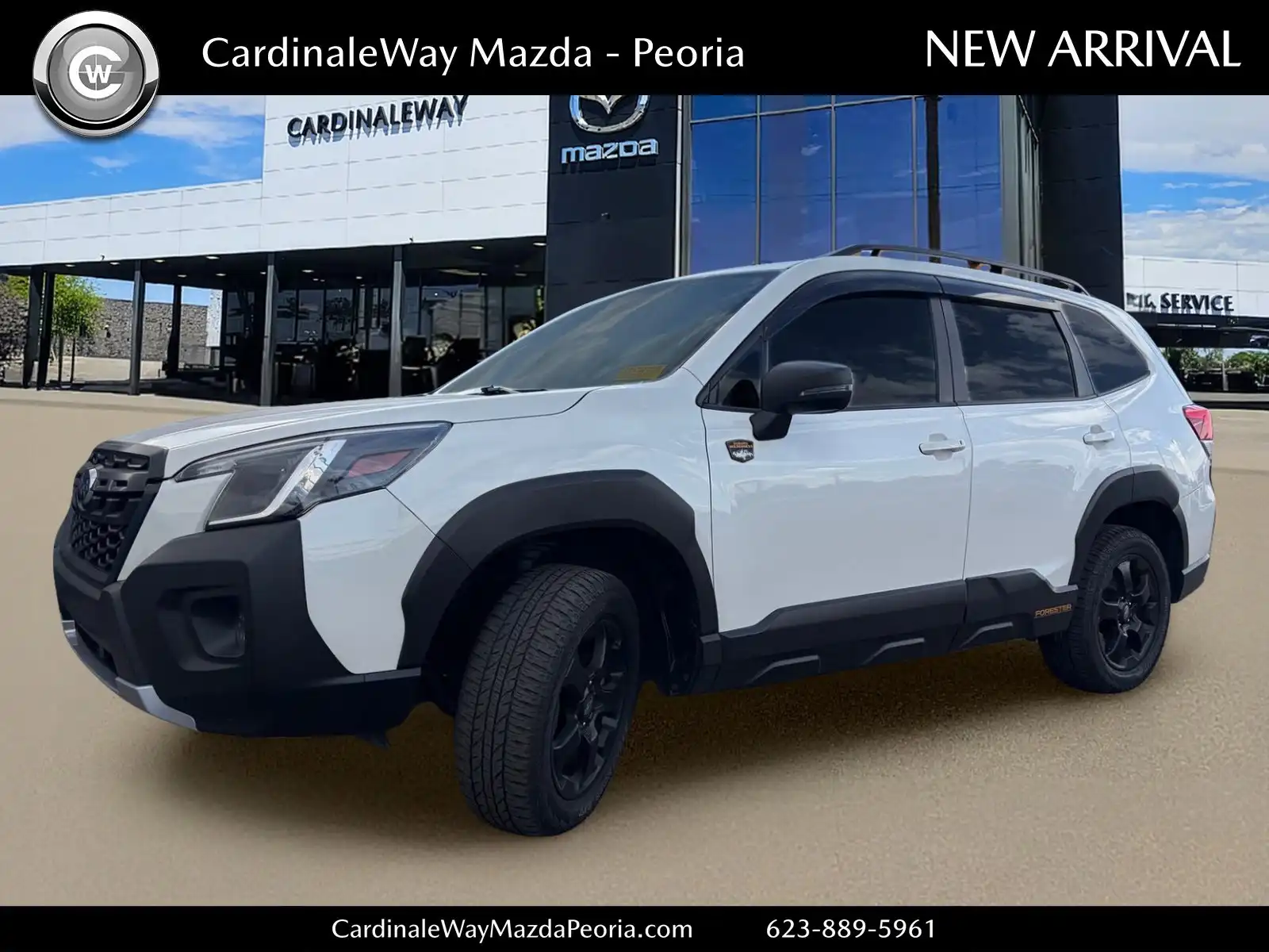 2023 Subaru Forester Wilderness's photo