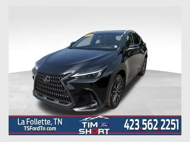 2024 Lexus NX 350h 350h Premium AWD's photo