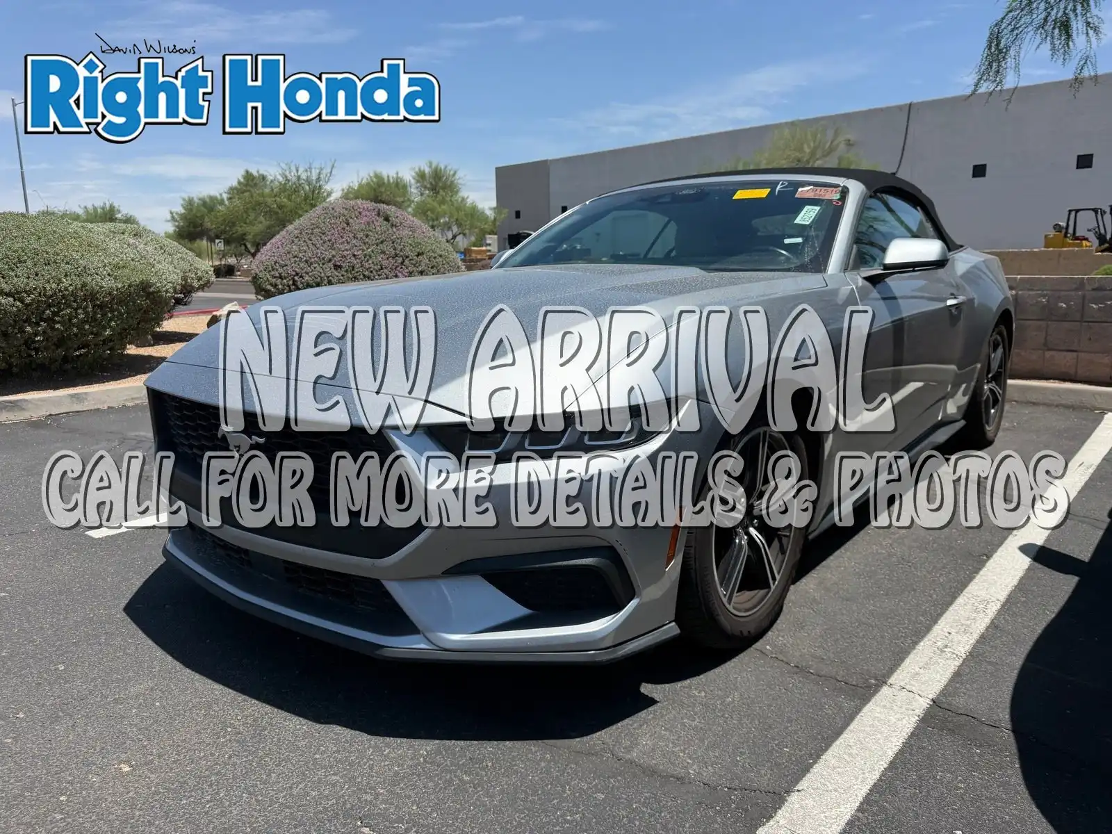 2024 Ford Mustang EcoBoost Premium Convertible's photo