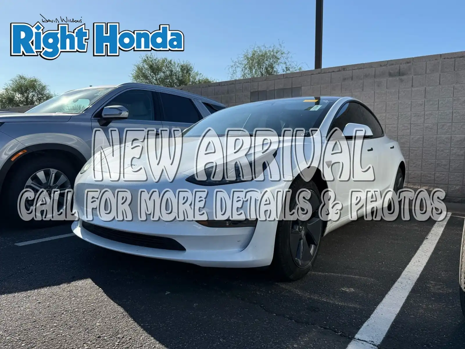 2023 Tesla Model 3 Base's photo