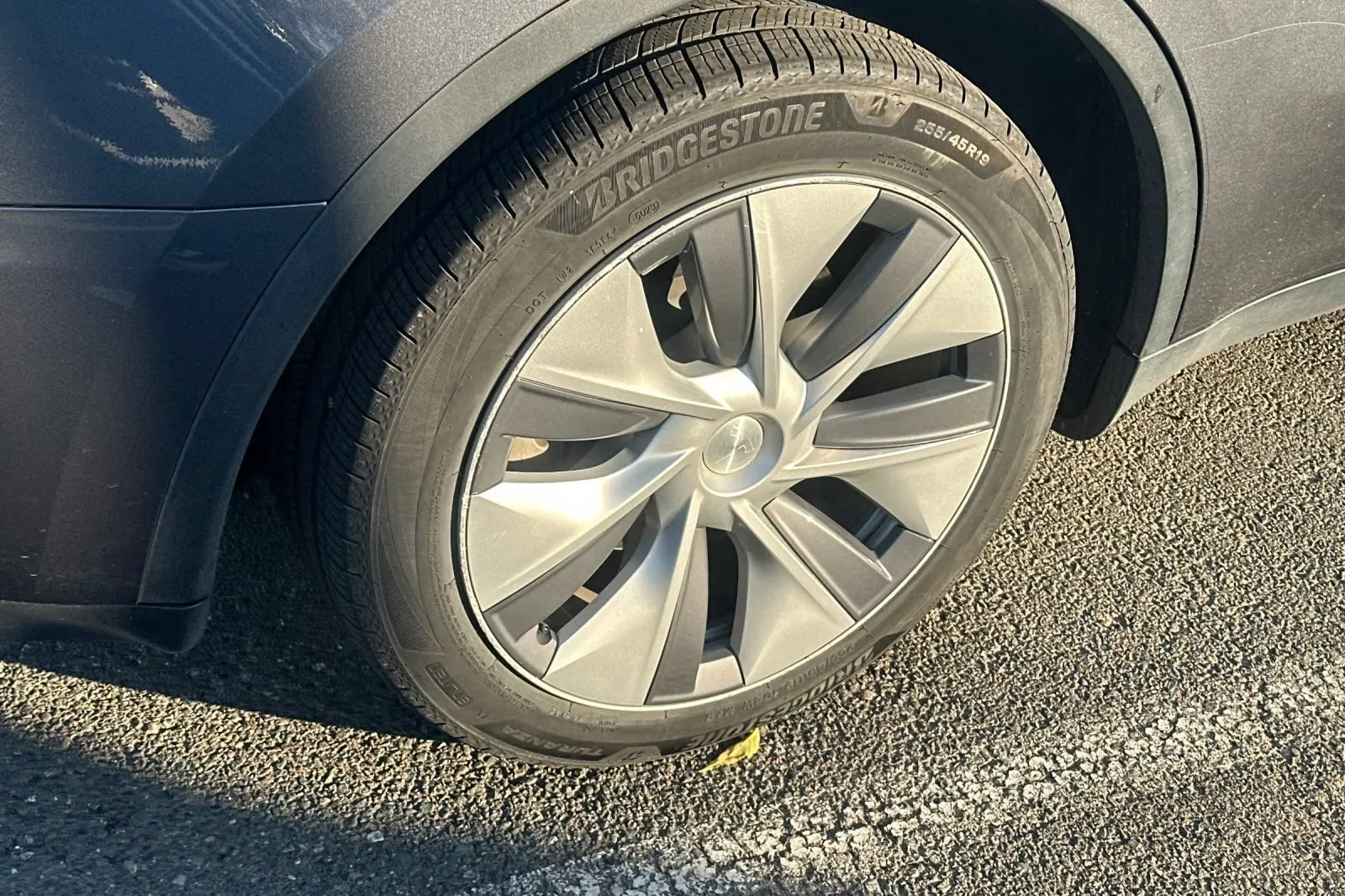 2023 Tesla Model Y Long Range Dual Motor AWD photo 4