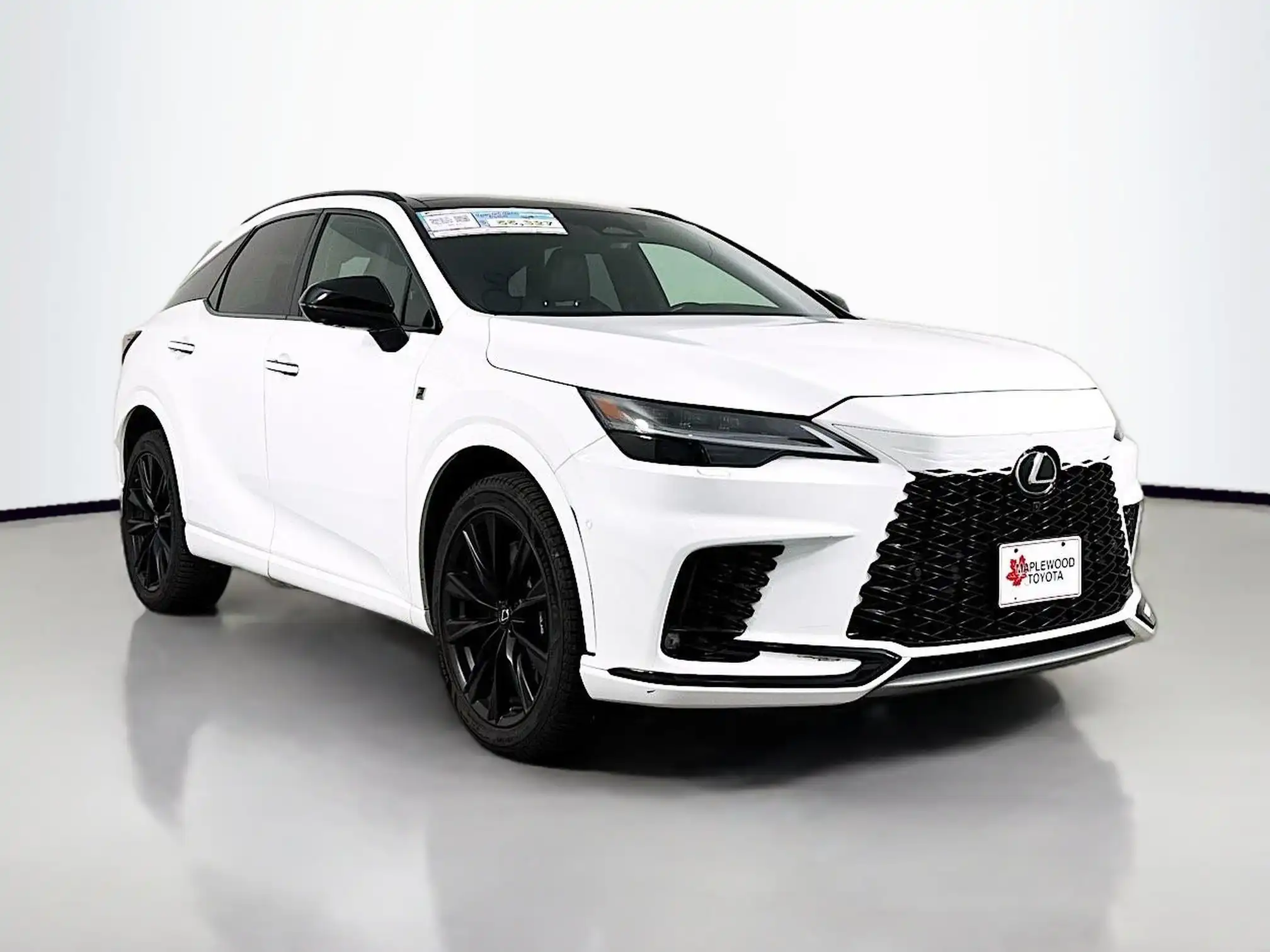 2023 Lexus RX 350h 500h F SPORT AWD's photo