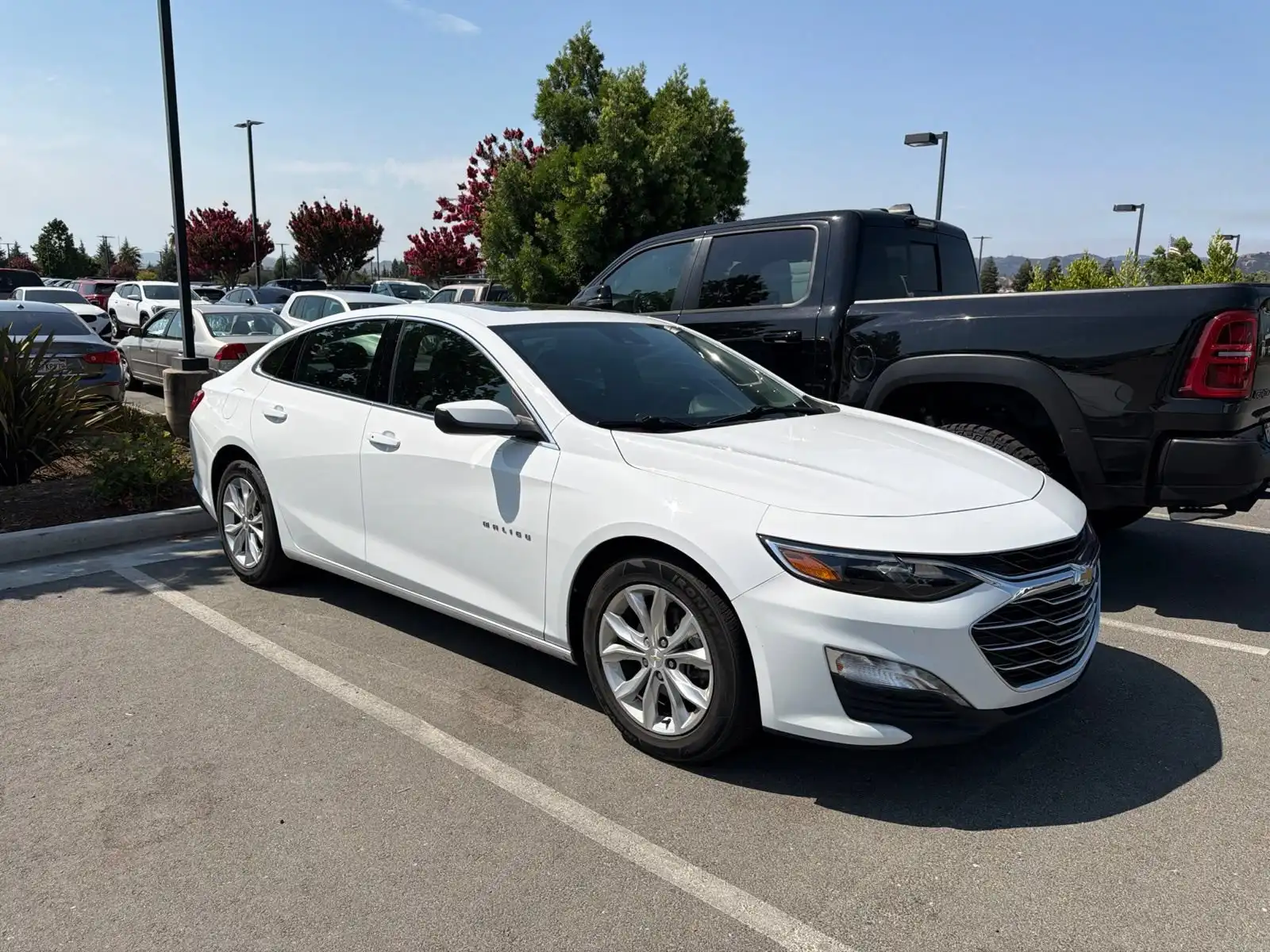 2024 Chevrolet Malibu 1LT's photo