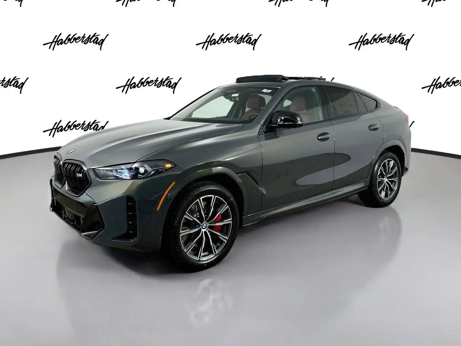 2027 BMW X6 M60i's photo