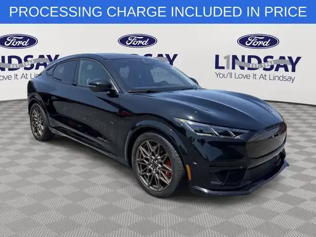 2025 Ford Mustang-Mach-e GT's photo