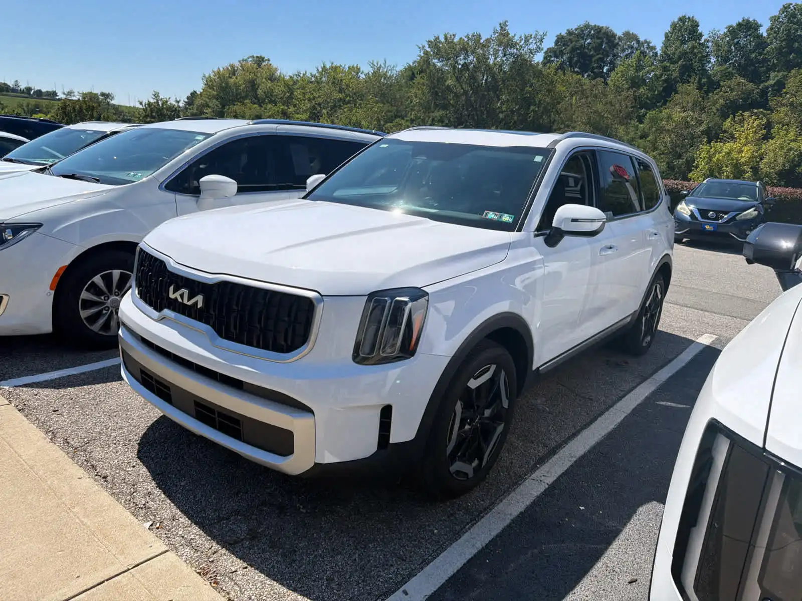 2025 Kia Telluride EX AWD's photo