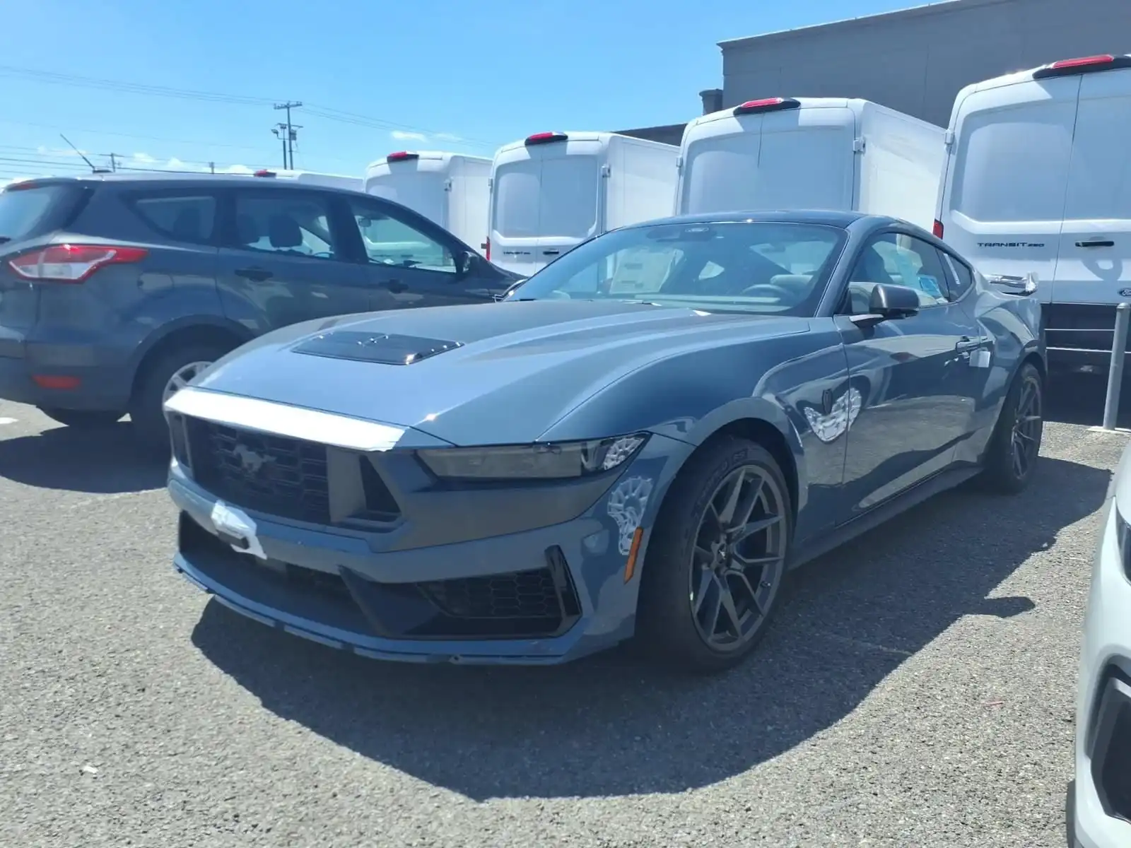 2026 Ford Mustang Dark Horse's photo