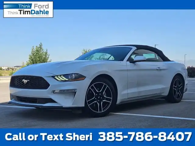 2023 Ford Mustang EcoBoost Premium Convertible's photo