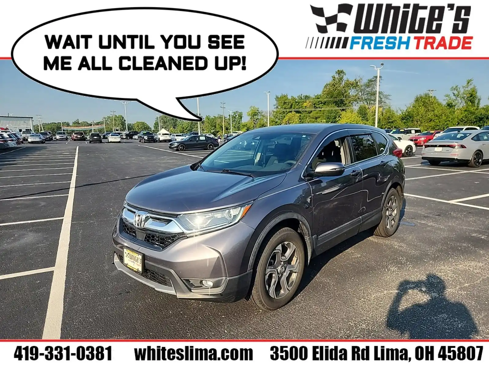 2019 Honda CR-V EX AWD's photo