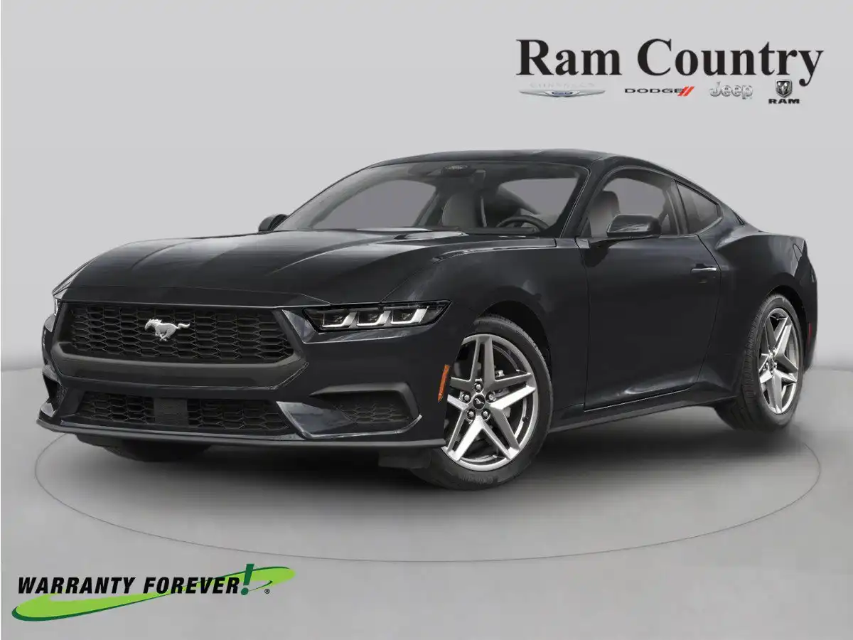 2024 Ford Mustang GT Premium Fastback's photo