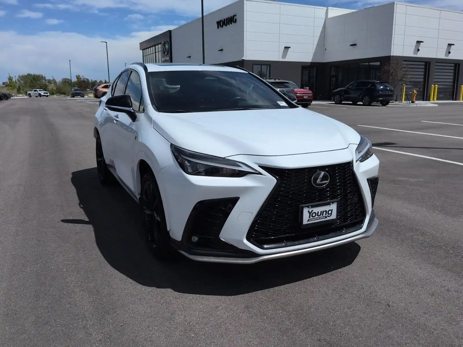 2023 Lexus NX 350 350 F-Sport AWD's photo