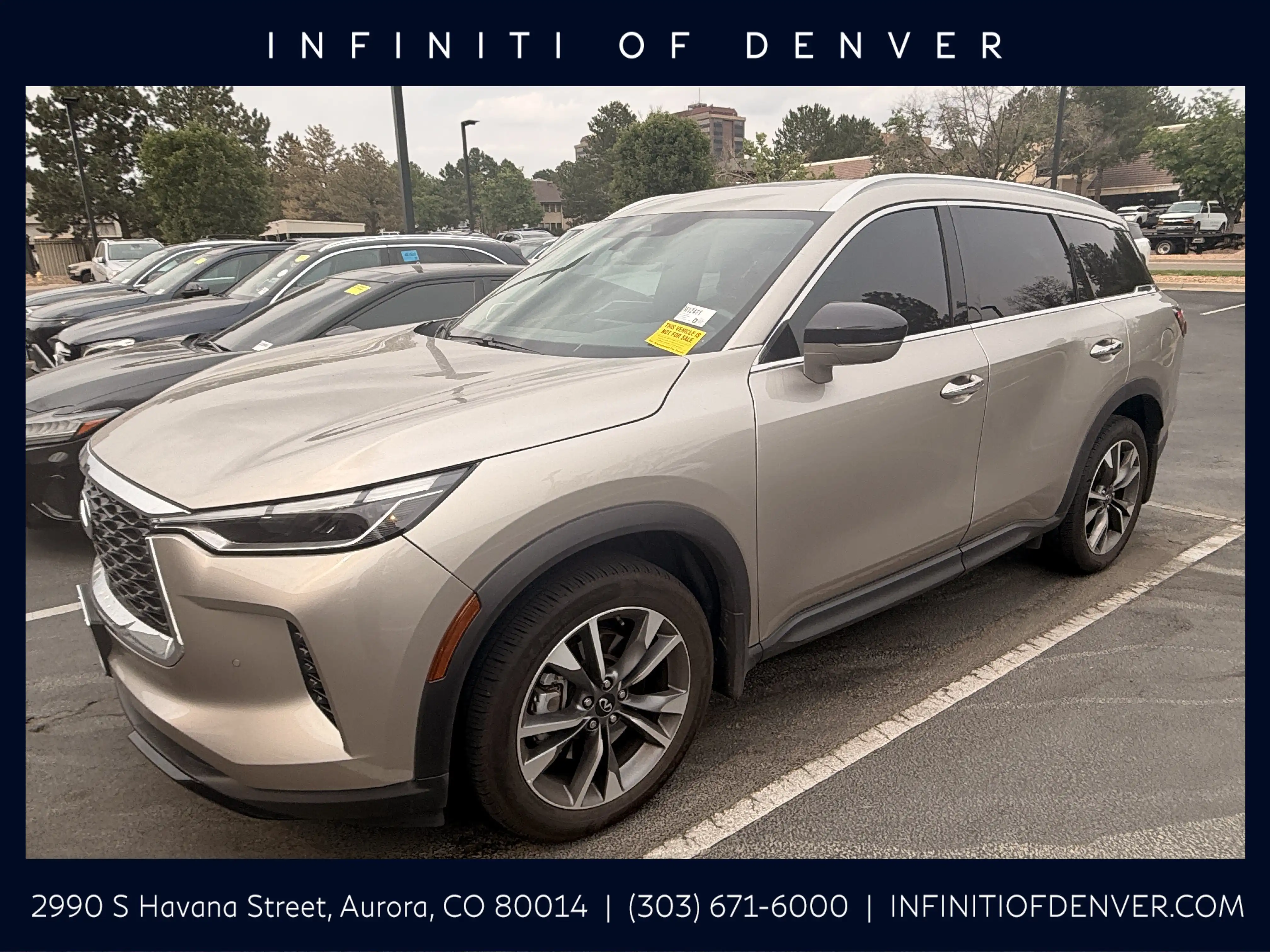 2023 INFINITI QX60 LUXE AWD's photo