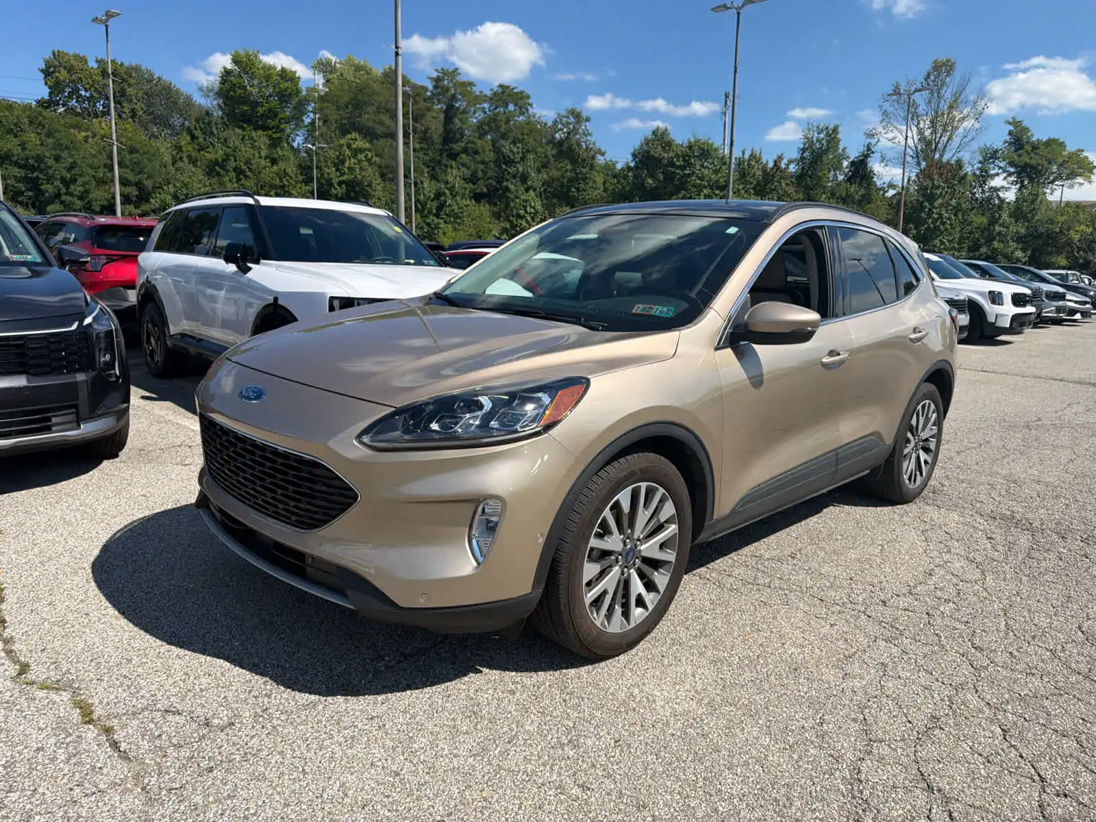 2020 Ford Escape Titanium AWD's photo