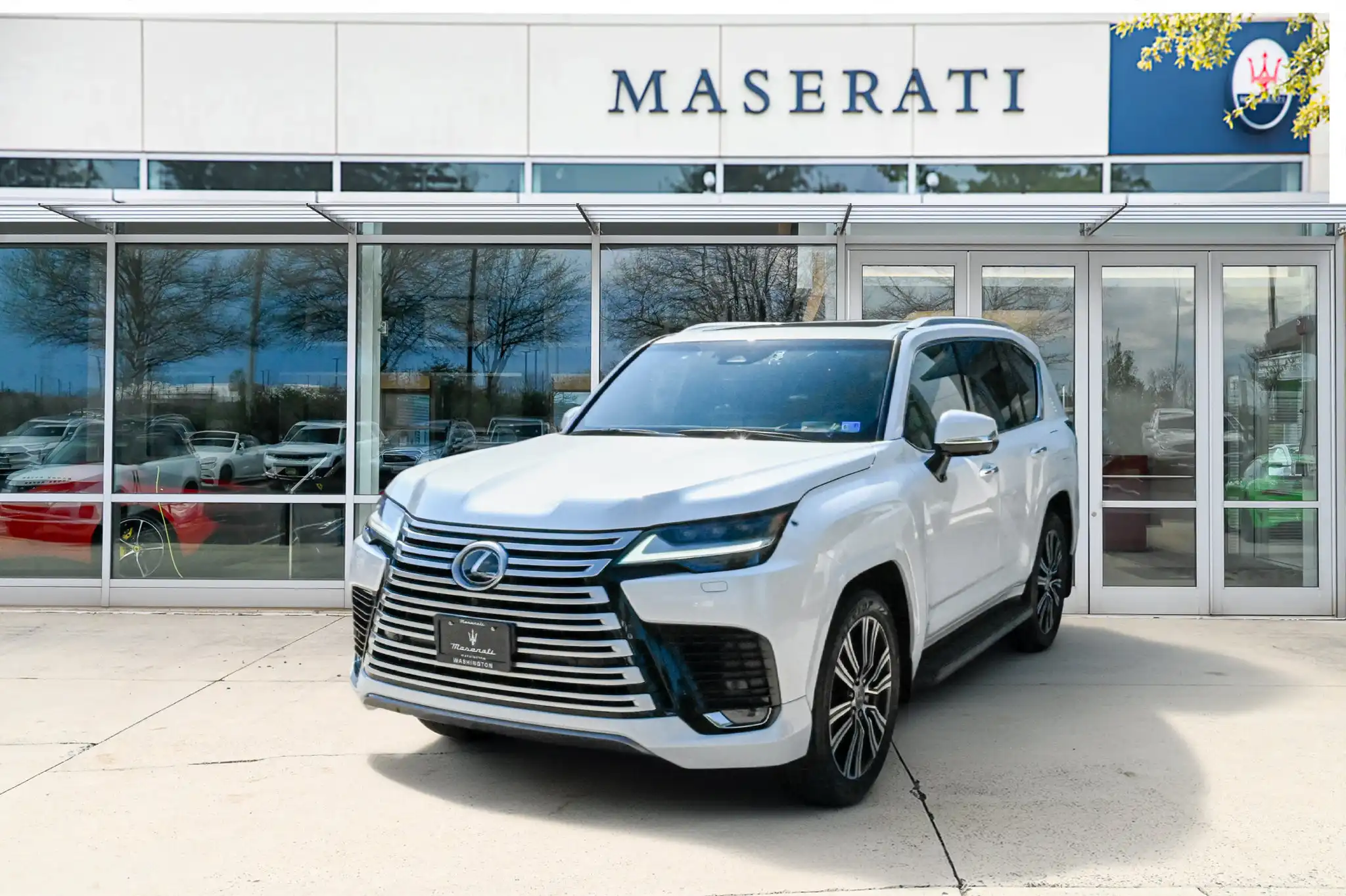 2025 Lexus LX 600 600 Luxury's photo
