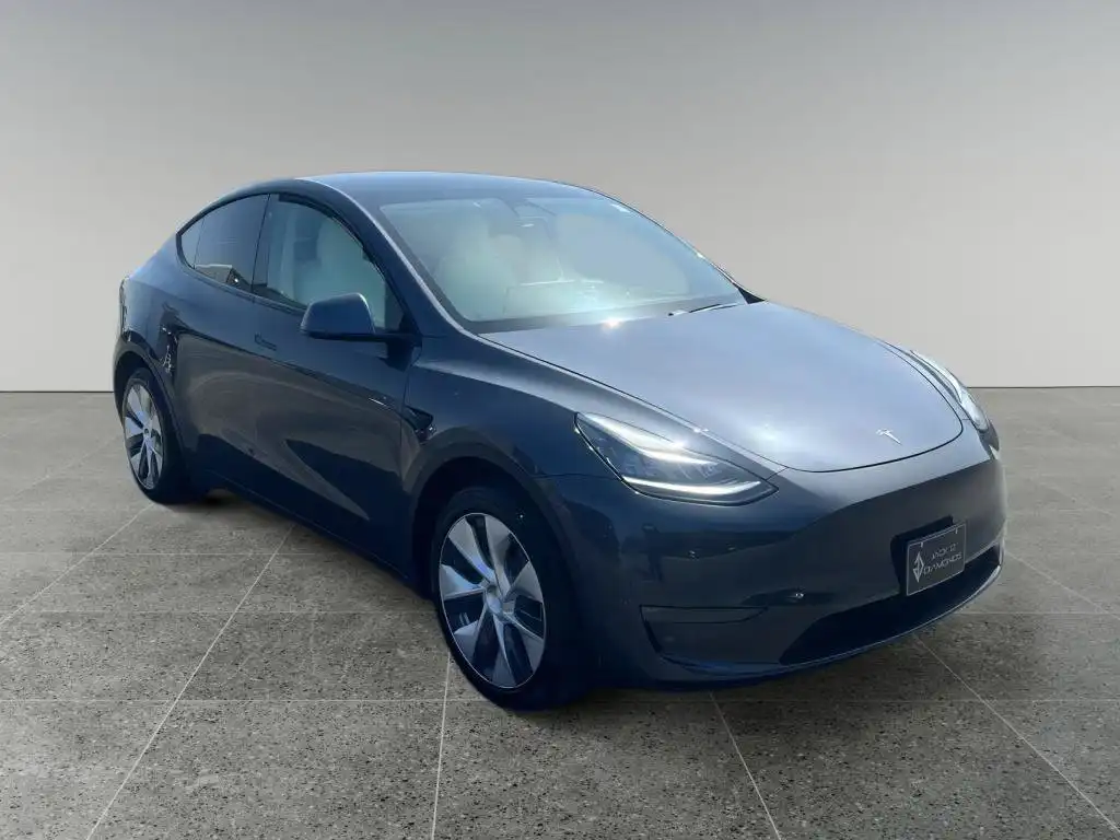 2020 Tesla Model Y Long Range Dual Motor All-Wheel Drive's photo