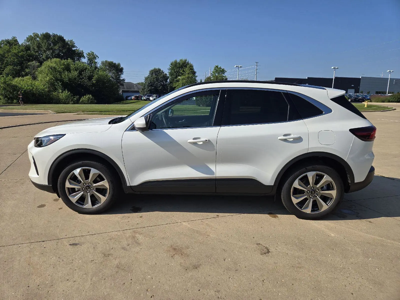 2024 Ford Escape Platinum AWD photo 5