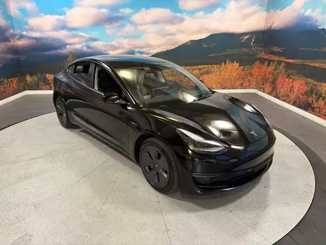2022 Tesla Model 3 Long Range Dual Motor All-Wheel Drive's photo