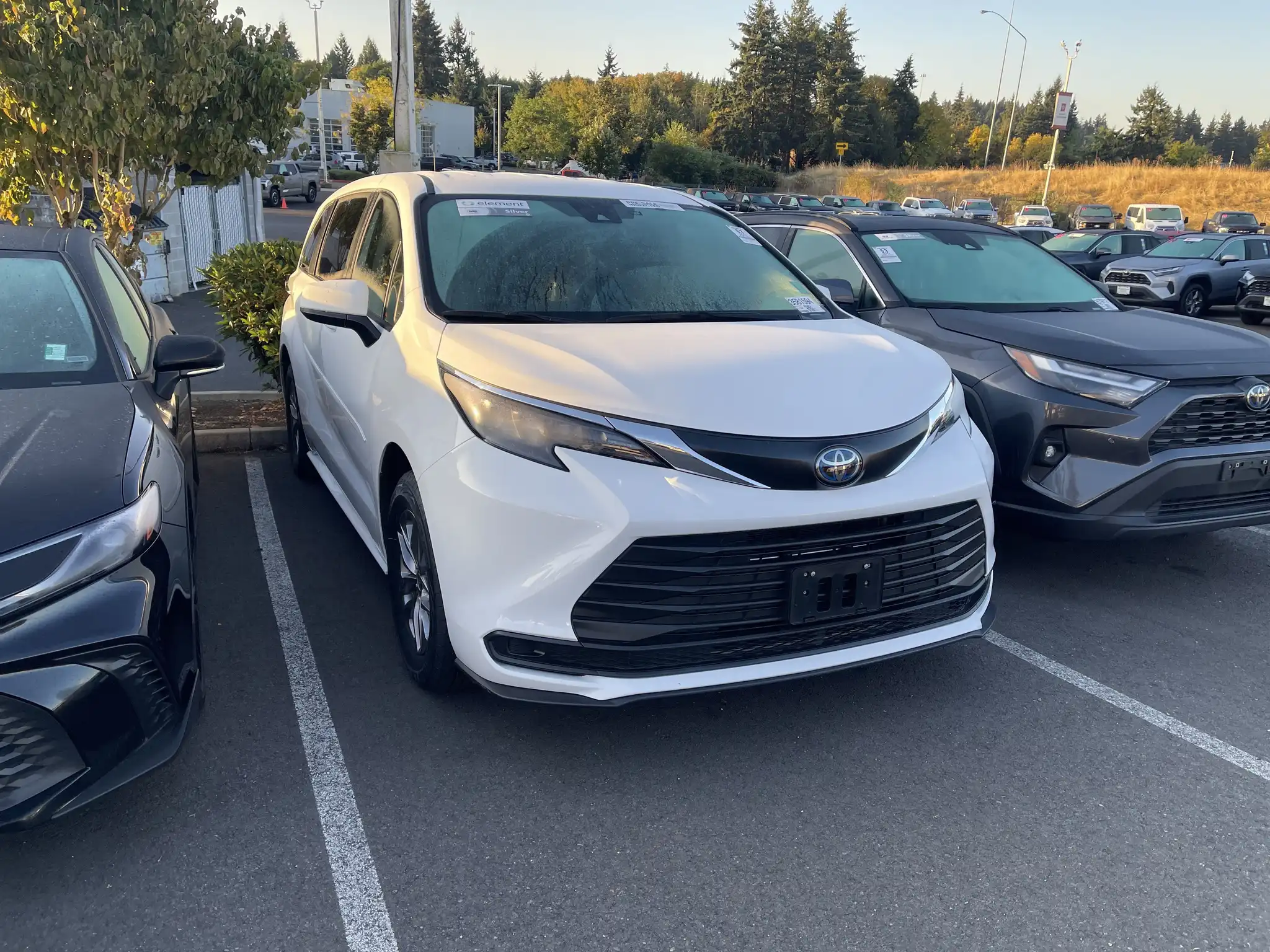 2024 Toyota Sienna LE 8-Passenger Hybrid AWD's photo