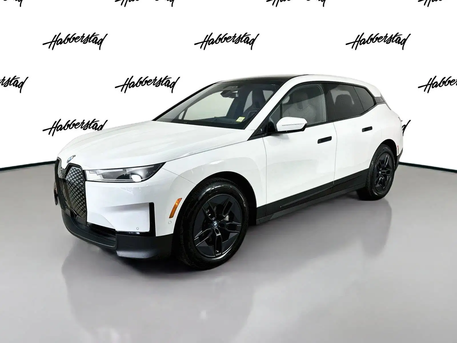 2024 BMW iX xDrive50's photo