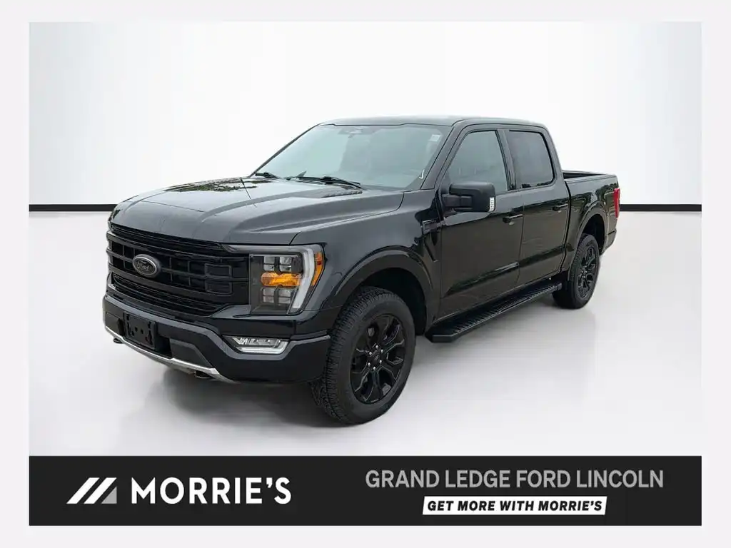 2023 Ford F-150 XLT 4WD SuperCrew 145 in's photo